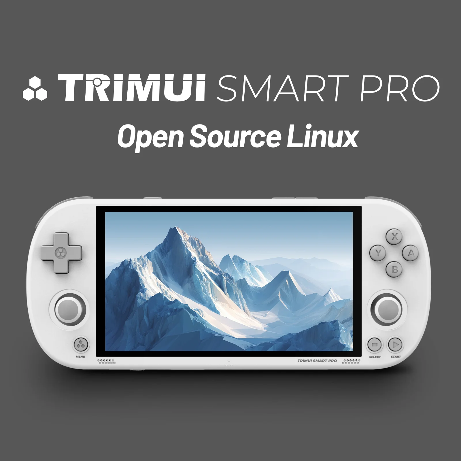 Gaming Console Under 5000 - Trimui Smart Pro, console de jogos